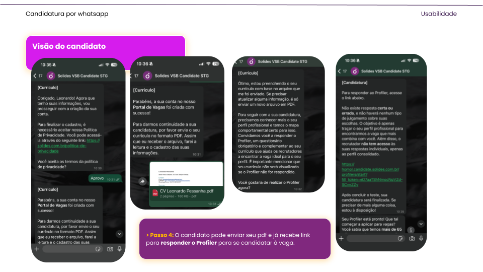 Etapa 3 - Mapeamento Comportamental Profiler